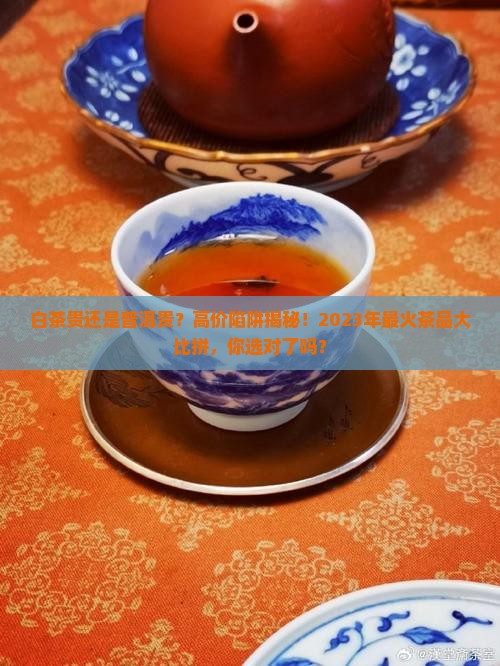 白茶贵还是普洱贵
