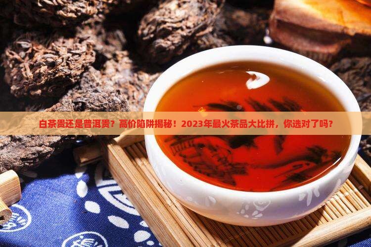 白茶贵还是普洱贵