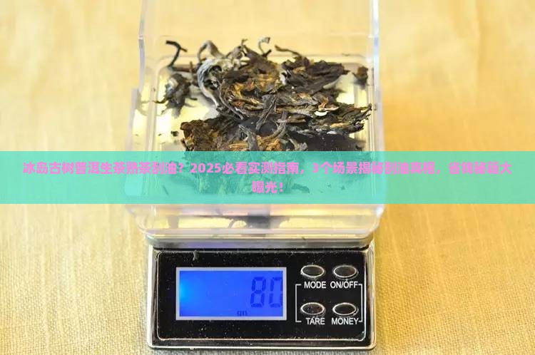 冰岛古树普洱生茶熟茶刮油