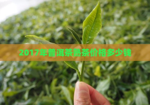 2017年熟普洱多少钱