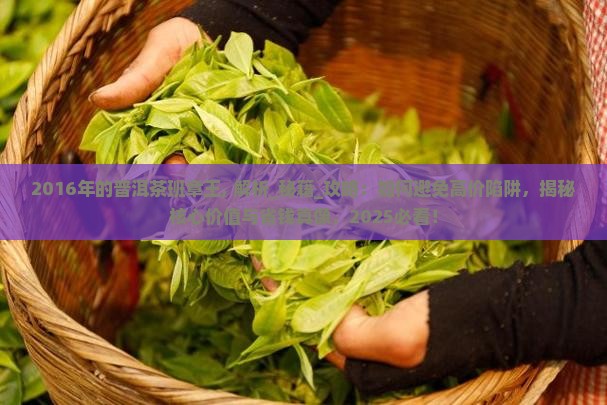 2016年的普洱茶班章王