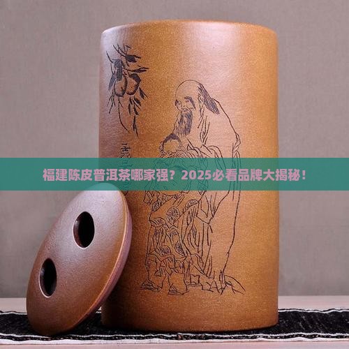 福建好的陈皮普洱茶品牌