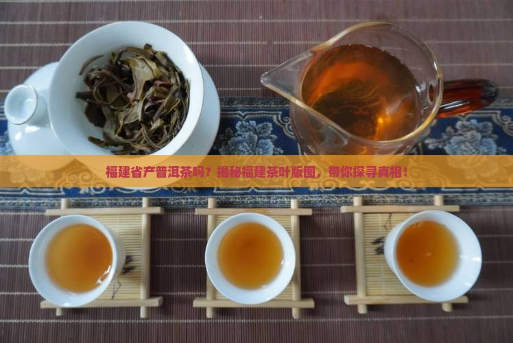 福建省产普洱茶吗