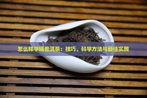 怎么样学喝普洱茶