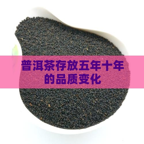 普洱茶五年十年