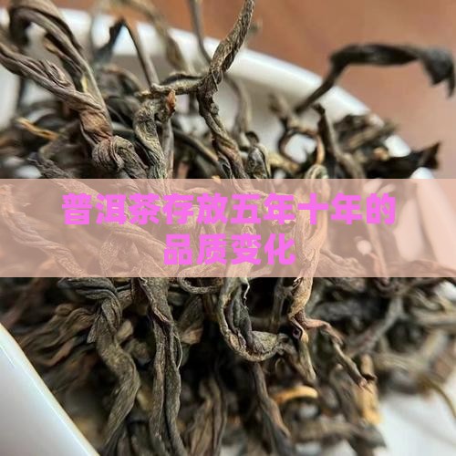 普洱茶五年十年