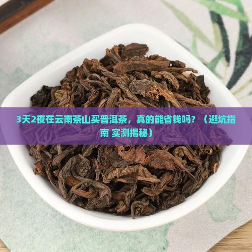 到云南茶山买普洱茶