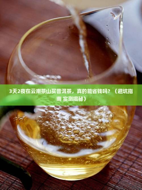 到云南茶山买普洱茶