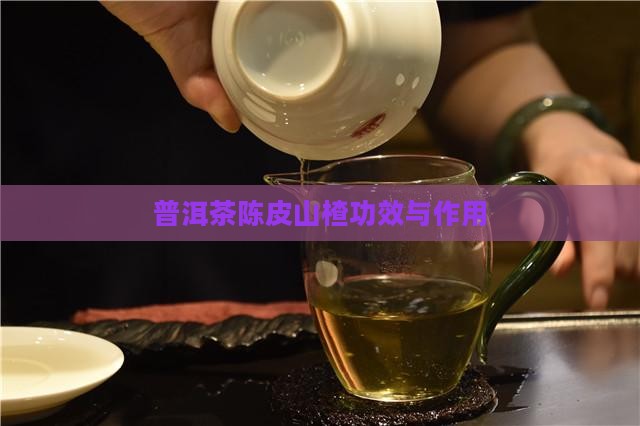 普洱茶陈皮山楂功效与作用