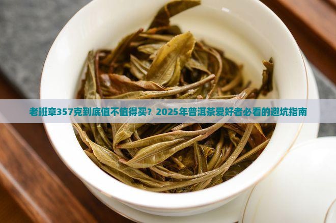 普洱茶老班章357克供应