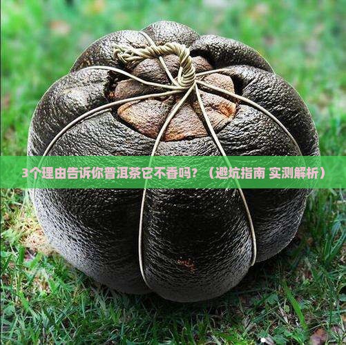 普洱茶它不香吗