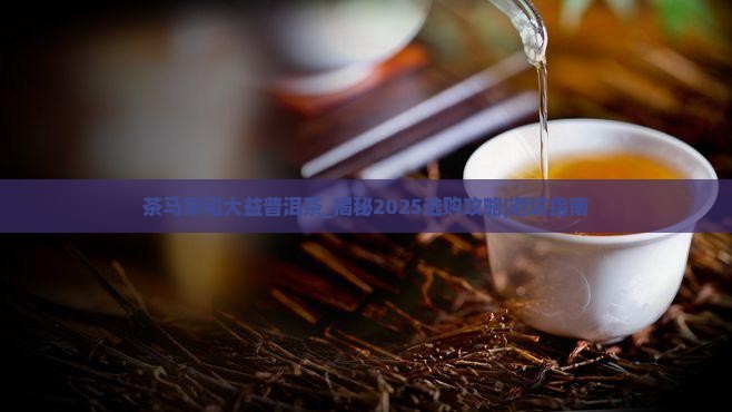 茶马家和大益普洱茶