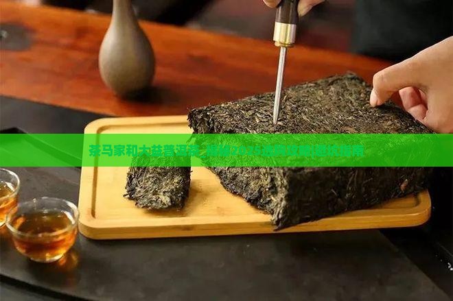 茶马家和大益普洱茶
