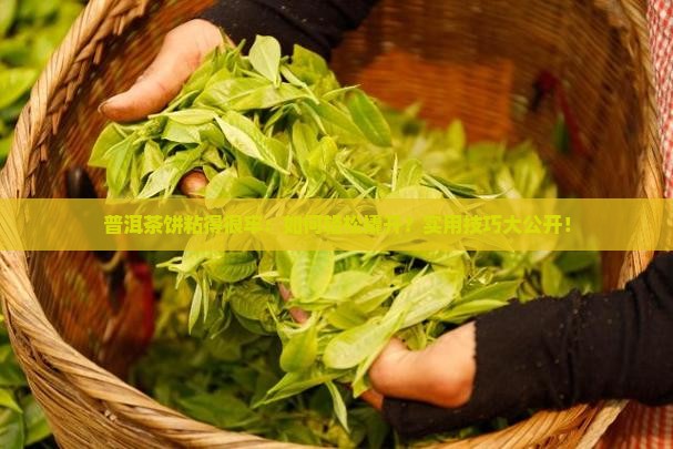 普洱茶饼粘得很牢