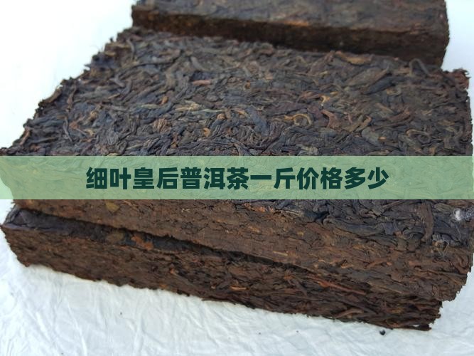 细叶皇后普洱茶多钱一斤