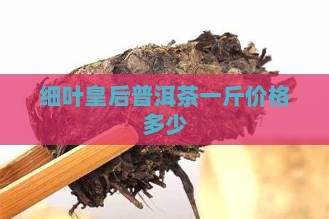 细叶皇后普洱茶多钱一斤