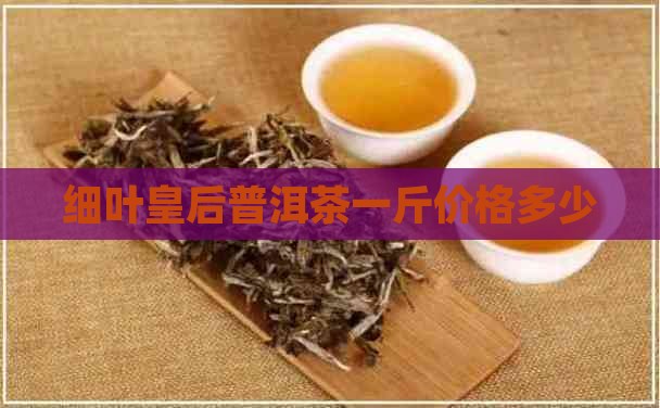 细叶皇后普洱茶多钱一斤