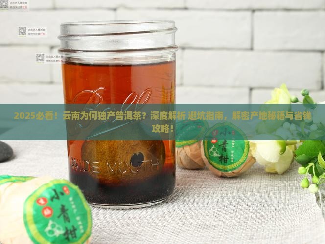 云南为什么只产普洱茶