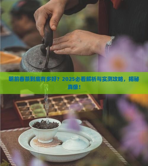 明前春是什么茶