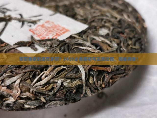 明前春是什么茶