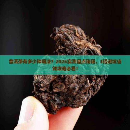 普洱茶有多少喝法