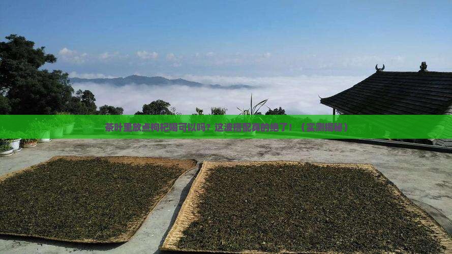 茶叶里放点枸杞喝可以吗