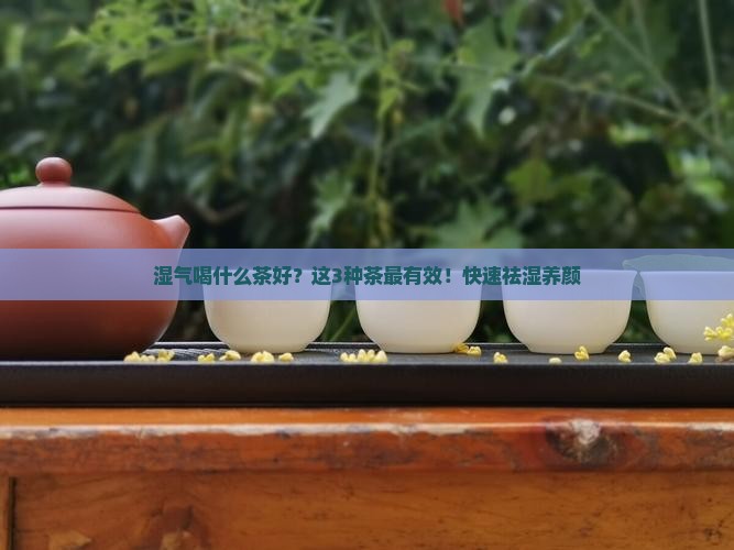 湿气喝什么茶好