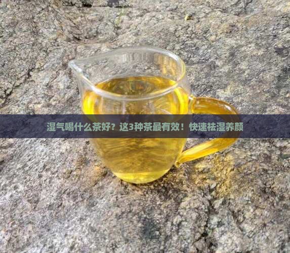 湿气喝什么茶好
