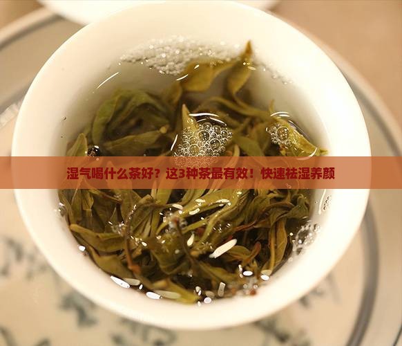 湿气喝什么茶好