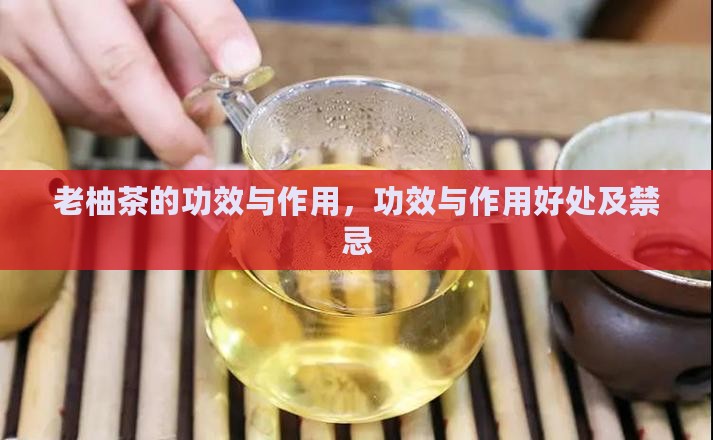 老柚茶的功效与作用