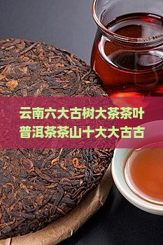 云南6大古树茶