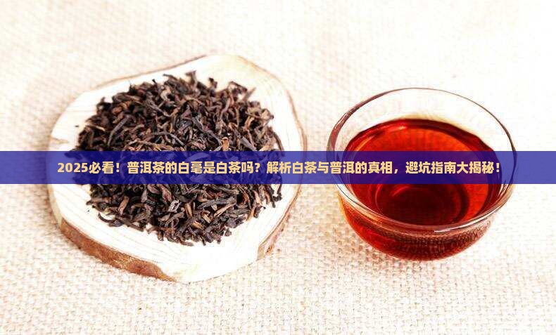 普洱茶的白毫是白茶吗