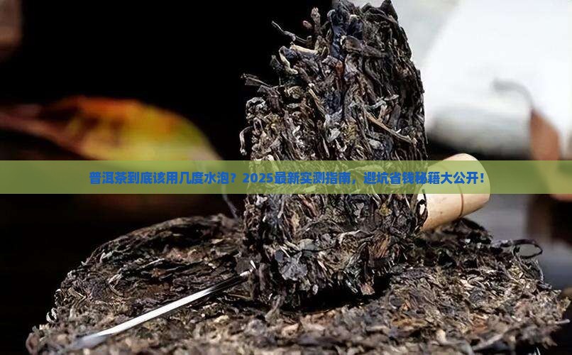 普洱茶需要几度水泡吗