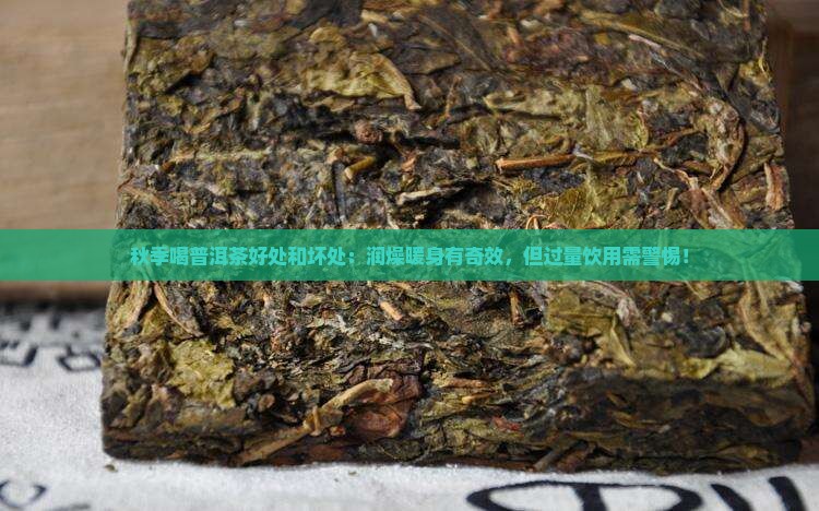 秋季喝普洱茶好处和坏处