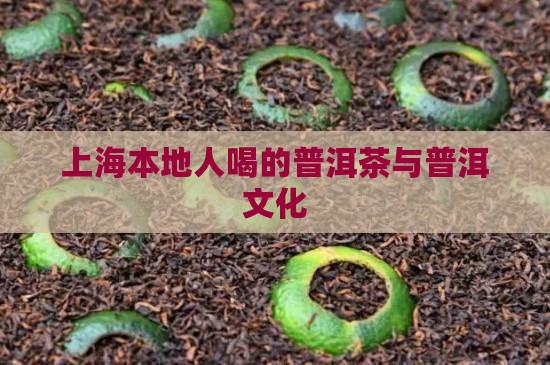 上海本地人喝的普洱茶