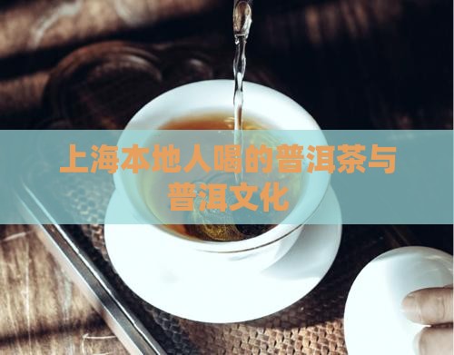 上海本地人喝的普洱茶