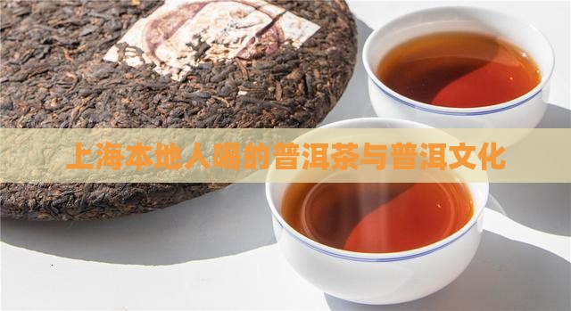 上海本地人喝的普洱茶