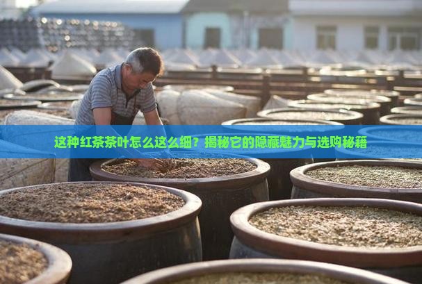 很细的一种红茶茶叶 很细的一种红茶茶叶