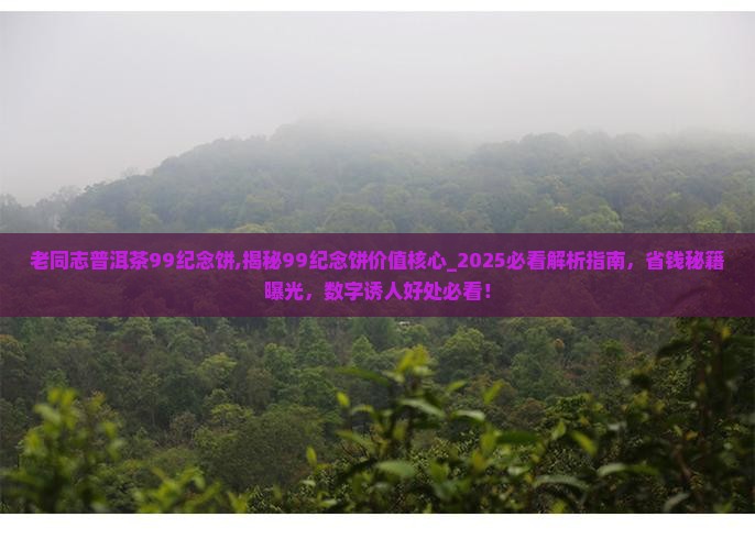 老同志普洱茶99纪念饼
