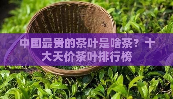 中国最贵的茶叶是啥茶