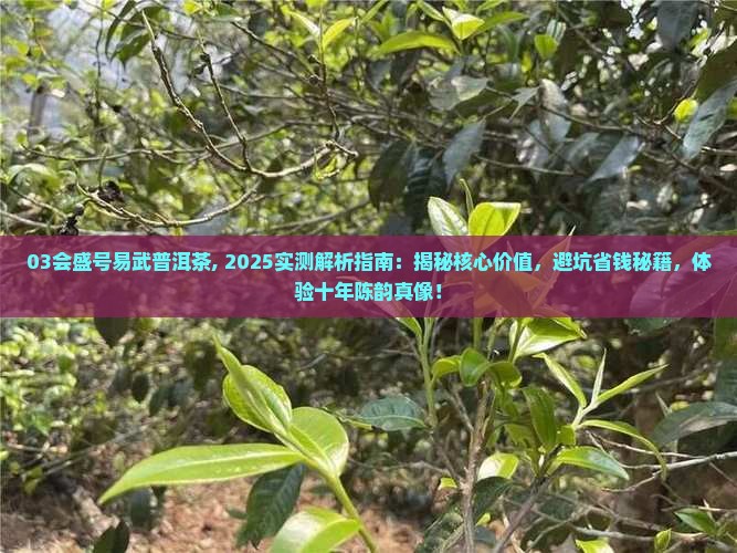 03会盛号易武普洱茶