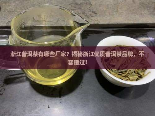 浙江普洱茶有哪些厂家