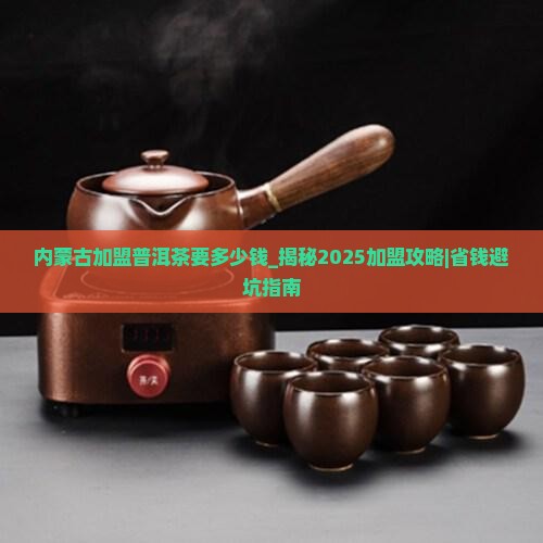 内蒙古加盟普洱茶要多少钱