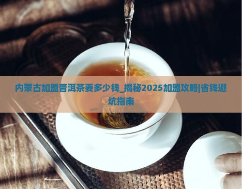 内蒙古加盟普洱茶要多少钱