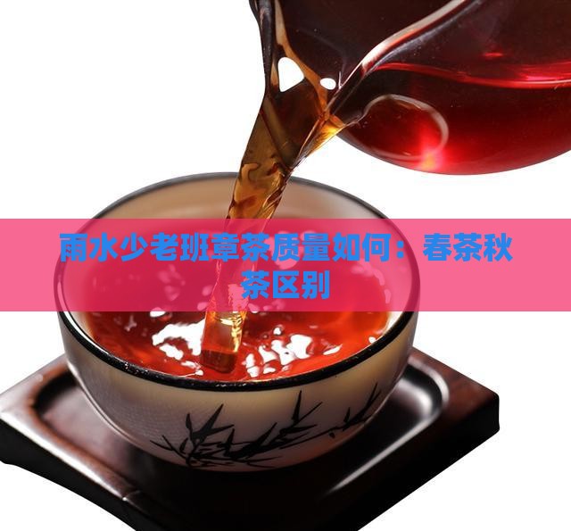 雨水少老班章茶质量如何