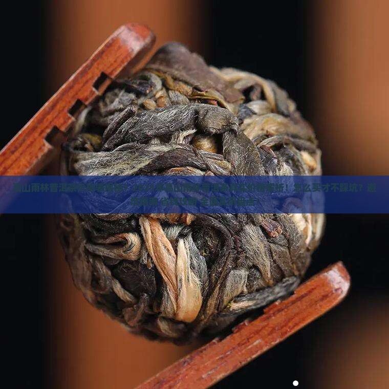 高山雨林普洱茶价格表