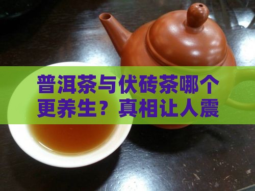 普洱茶与伏砖茶
