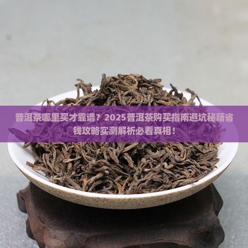 普洱茶在哪里找