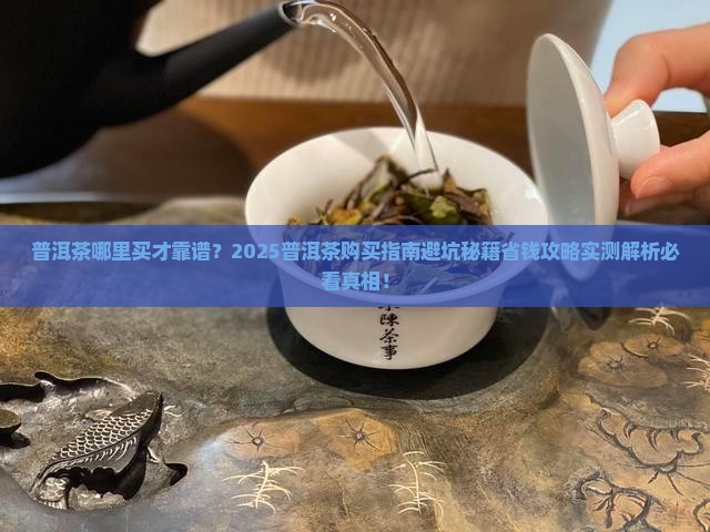 普洱茶在哪里找