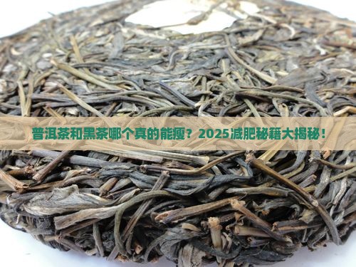 普洱茶和黑茶哪个减肥好